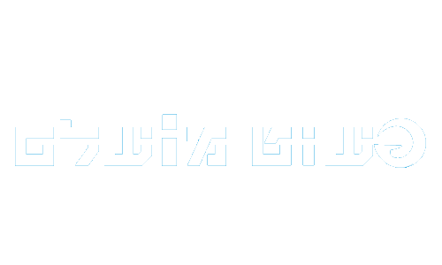 פשוט מושלם בניית אתרים