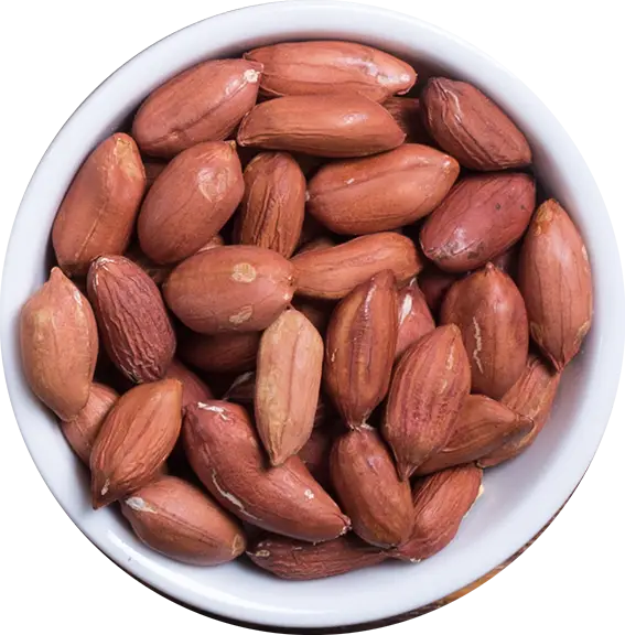 בוטנים קלוים ללא מלח 100 גרם