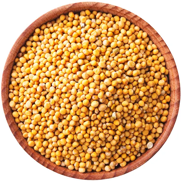 גרגירי חרדל שלם צהוב 100 גרם