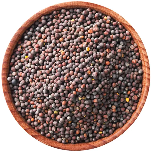 גרגירי חרדל שלם שחור 100 גרם