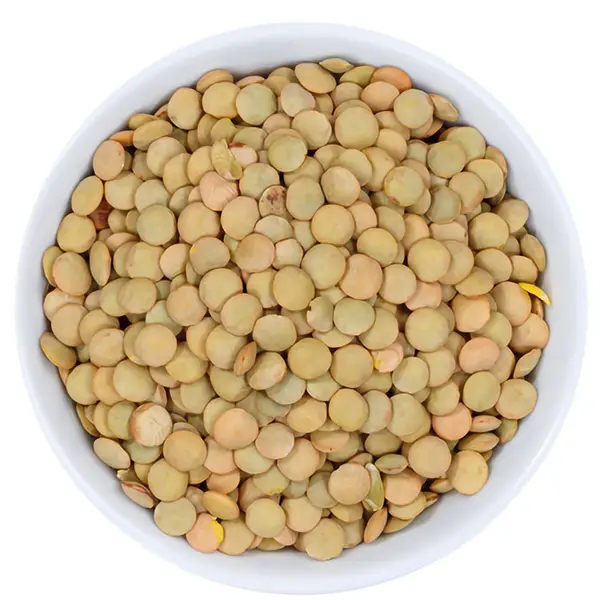 עדשים ירוקות  500 גרם