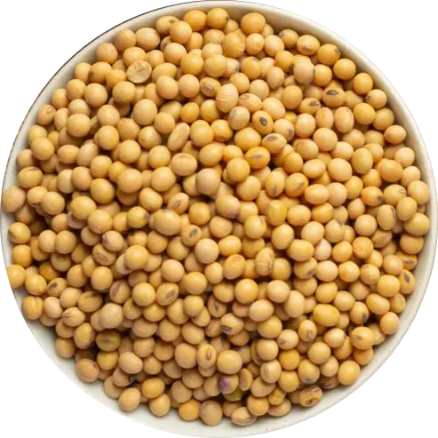 פולי סויה 500 גרם