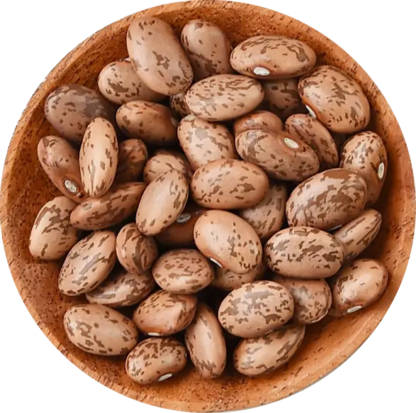 שעועית מנומרת  500 גרם