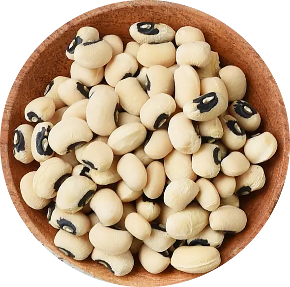 שעועית מש  500 גרם